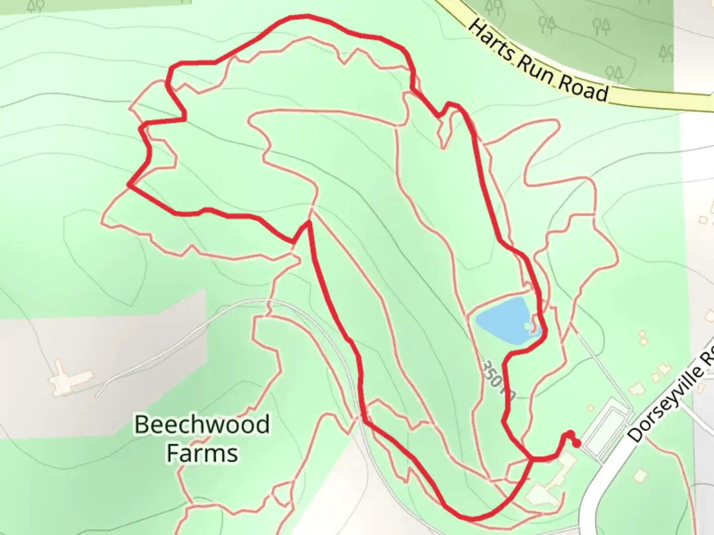 An image depicting the trail Beechwood Farms Loop Trail and its surrounding area.