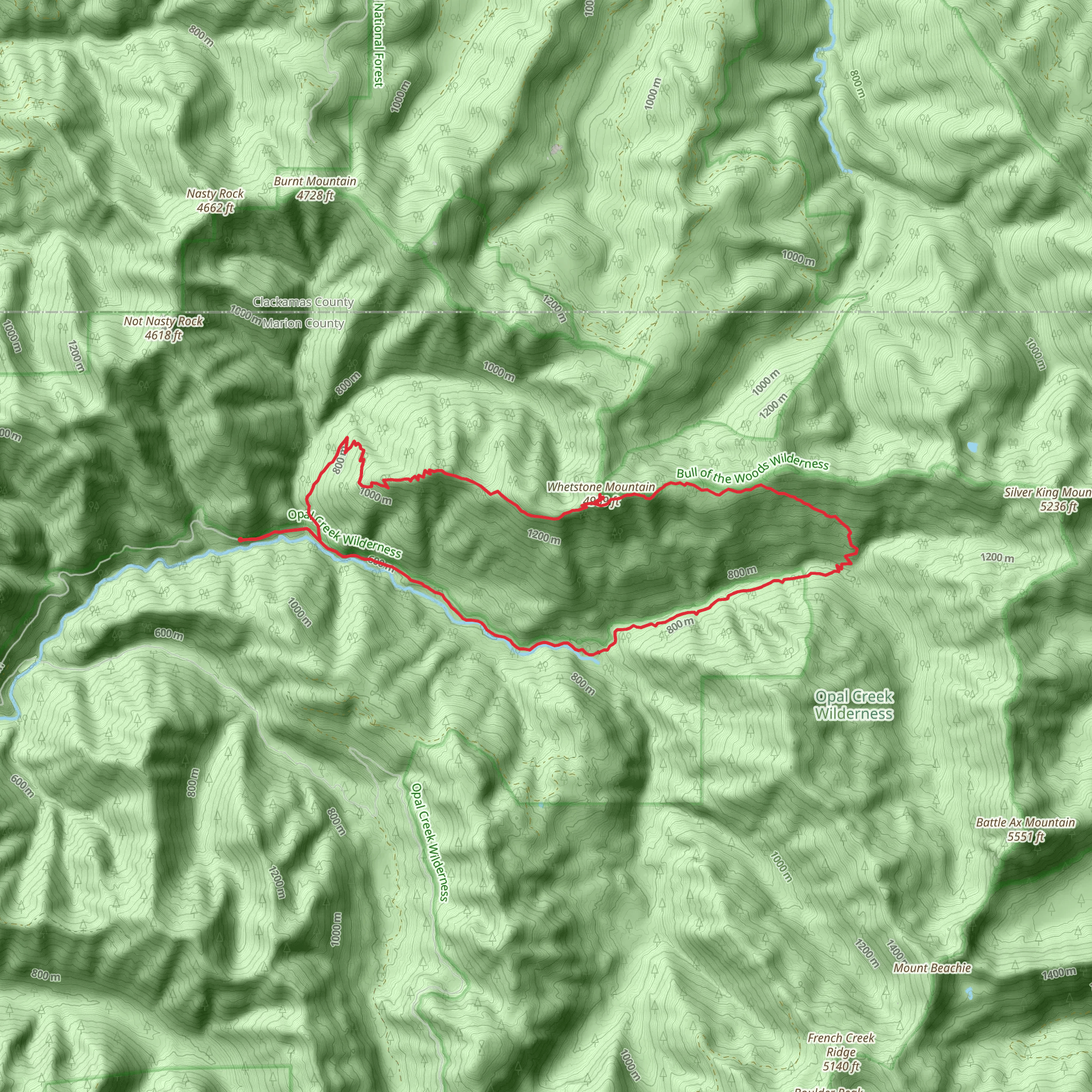 Whetstone Mountain - Battle Ax Creek Loop Trail mobile static map