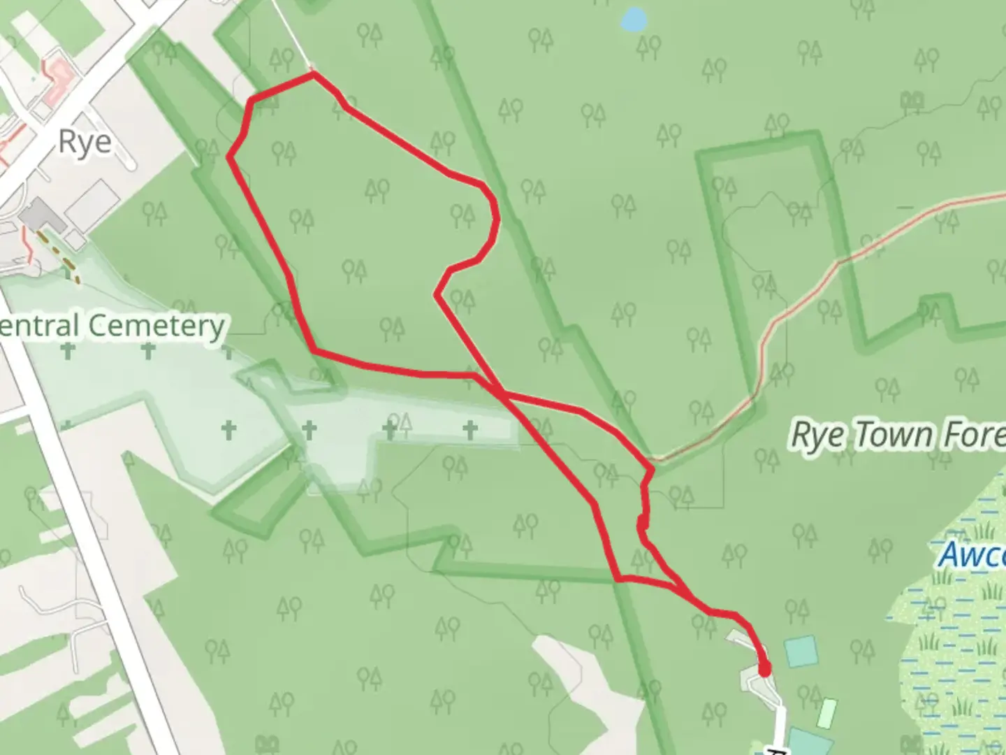 An image depicting the trail Recreation Road Loop and its surrounding area.