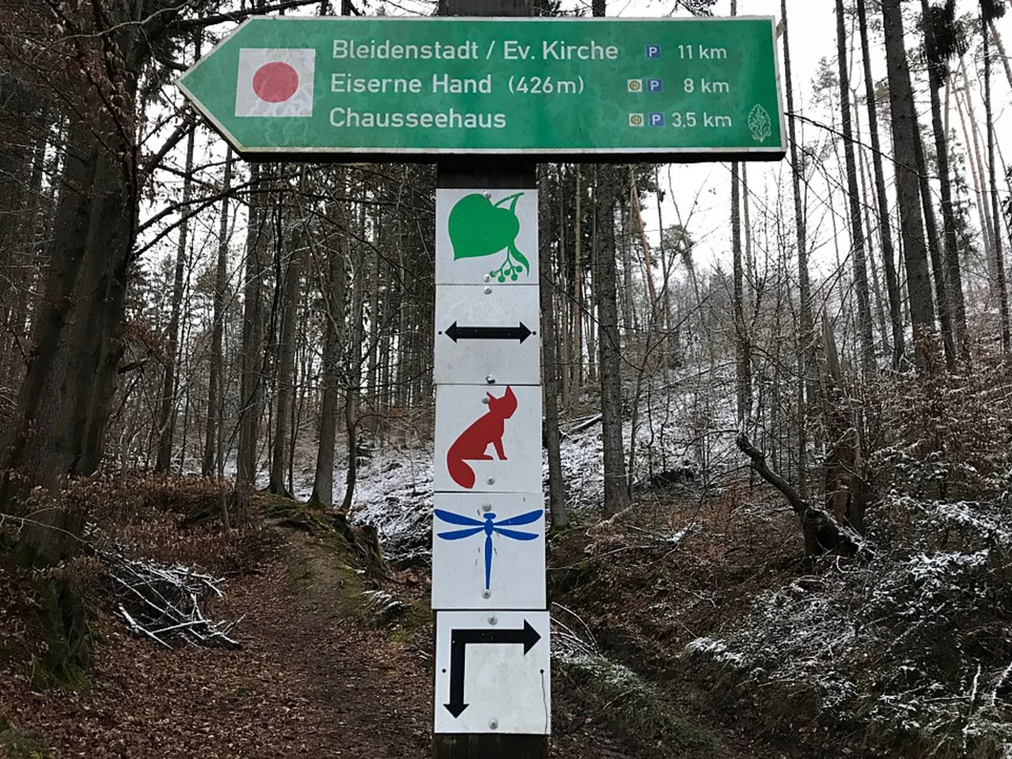An image depicting the trail Rundwanderweg Libelle Loop and its surrounding area.