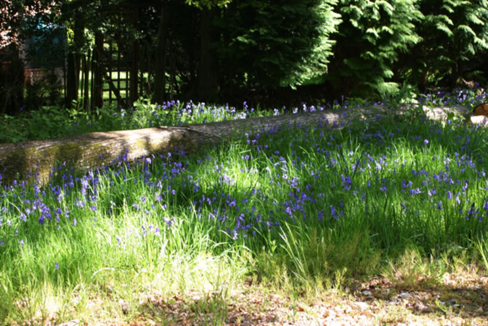 An image depicting the trail Two Castles Trail and its surrounding area.