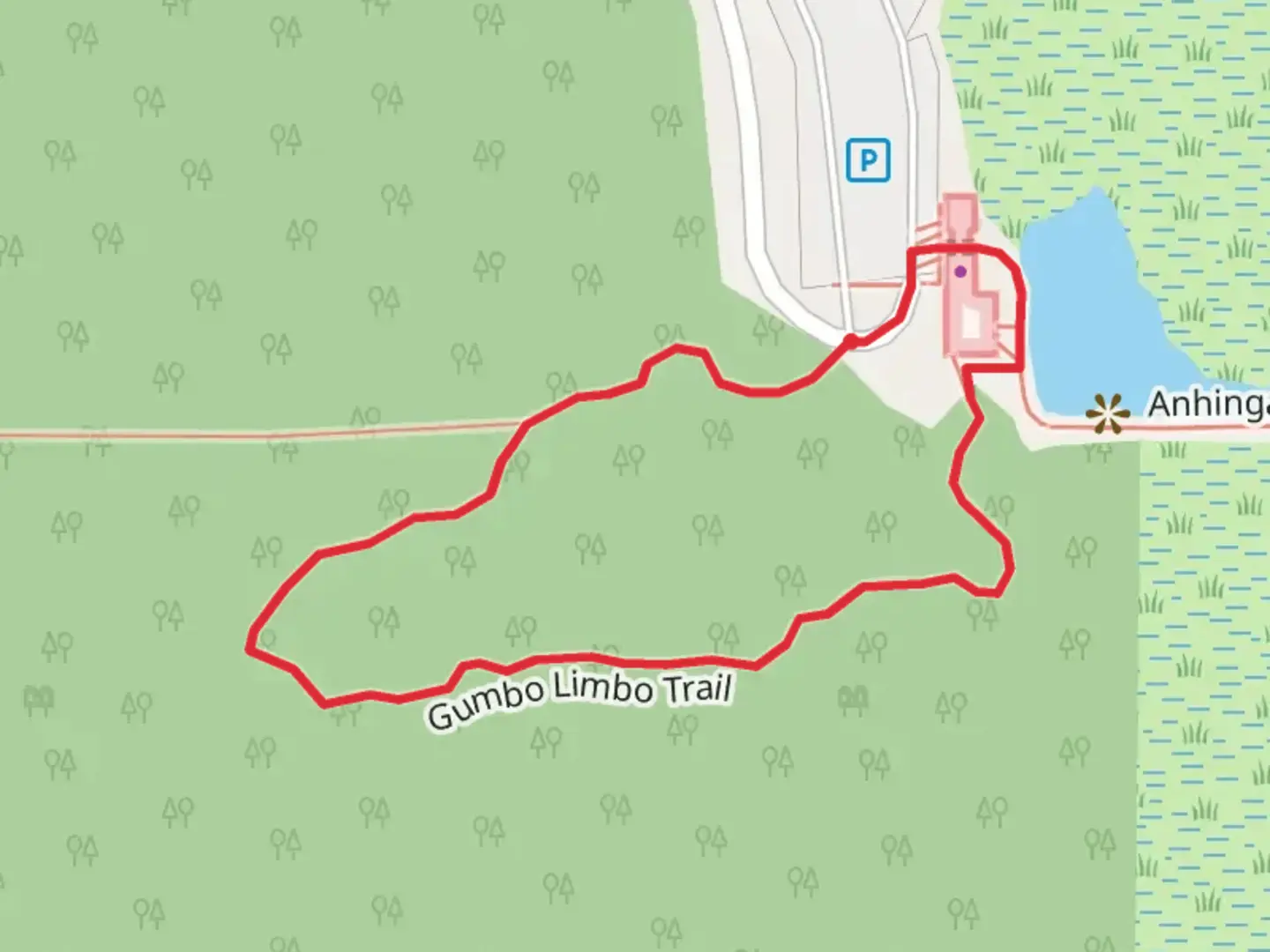 An image depicting the trail Gumbo Limbo Loop Trail and its surrounding area.