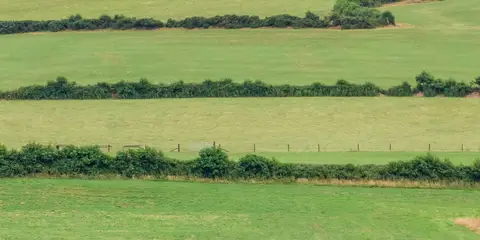 An image depicting the trail Moneygall Rock of Loyer Loop and its surrounding area.