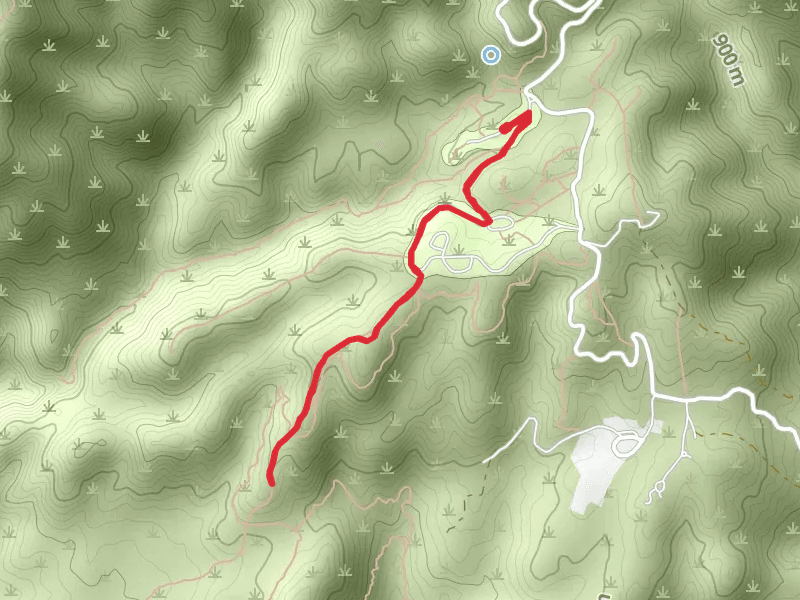 Blue Jay Campground and San Juan Trail