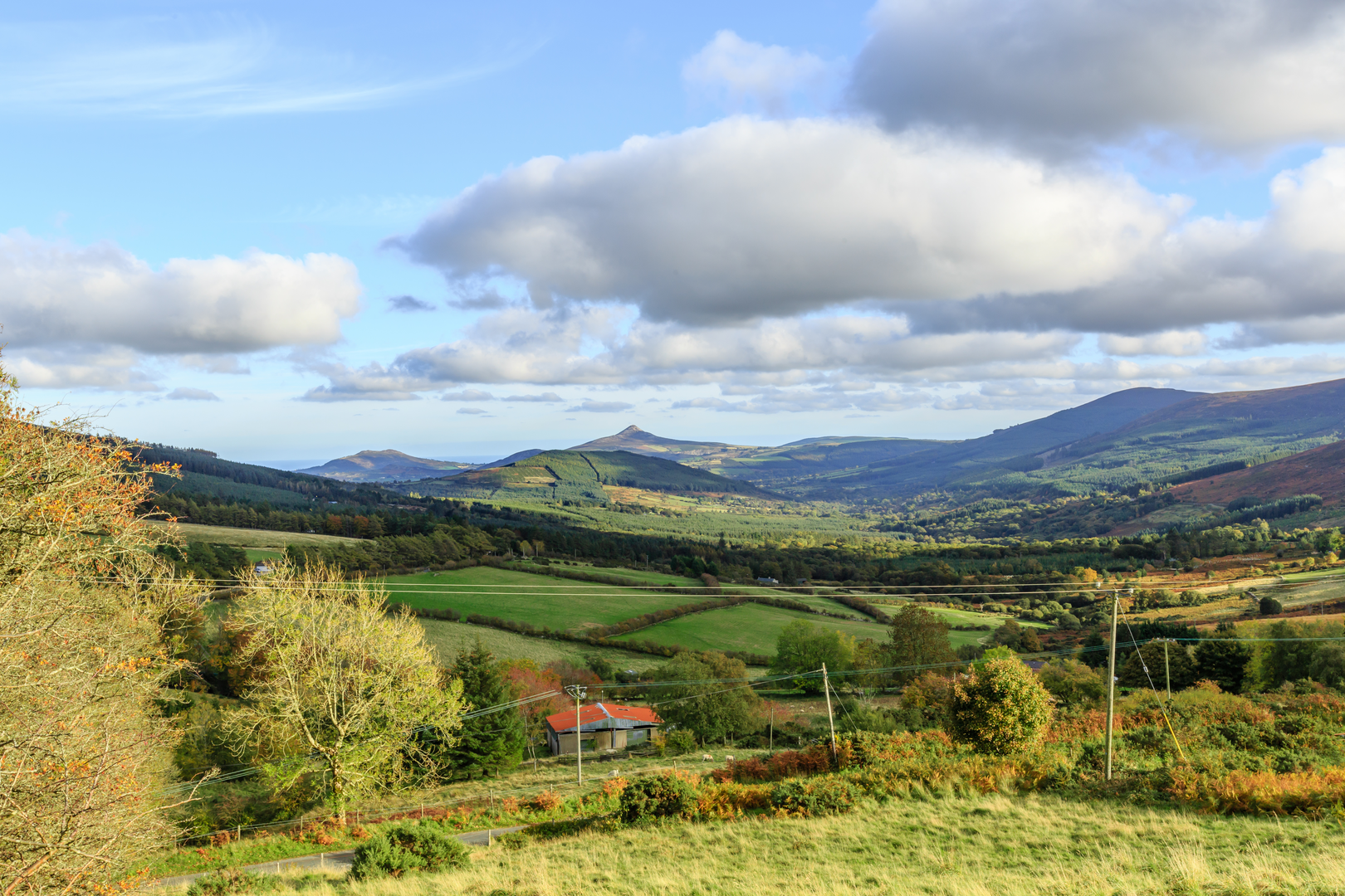 An image depicting the trail Belmont Way and its surrounding area.