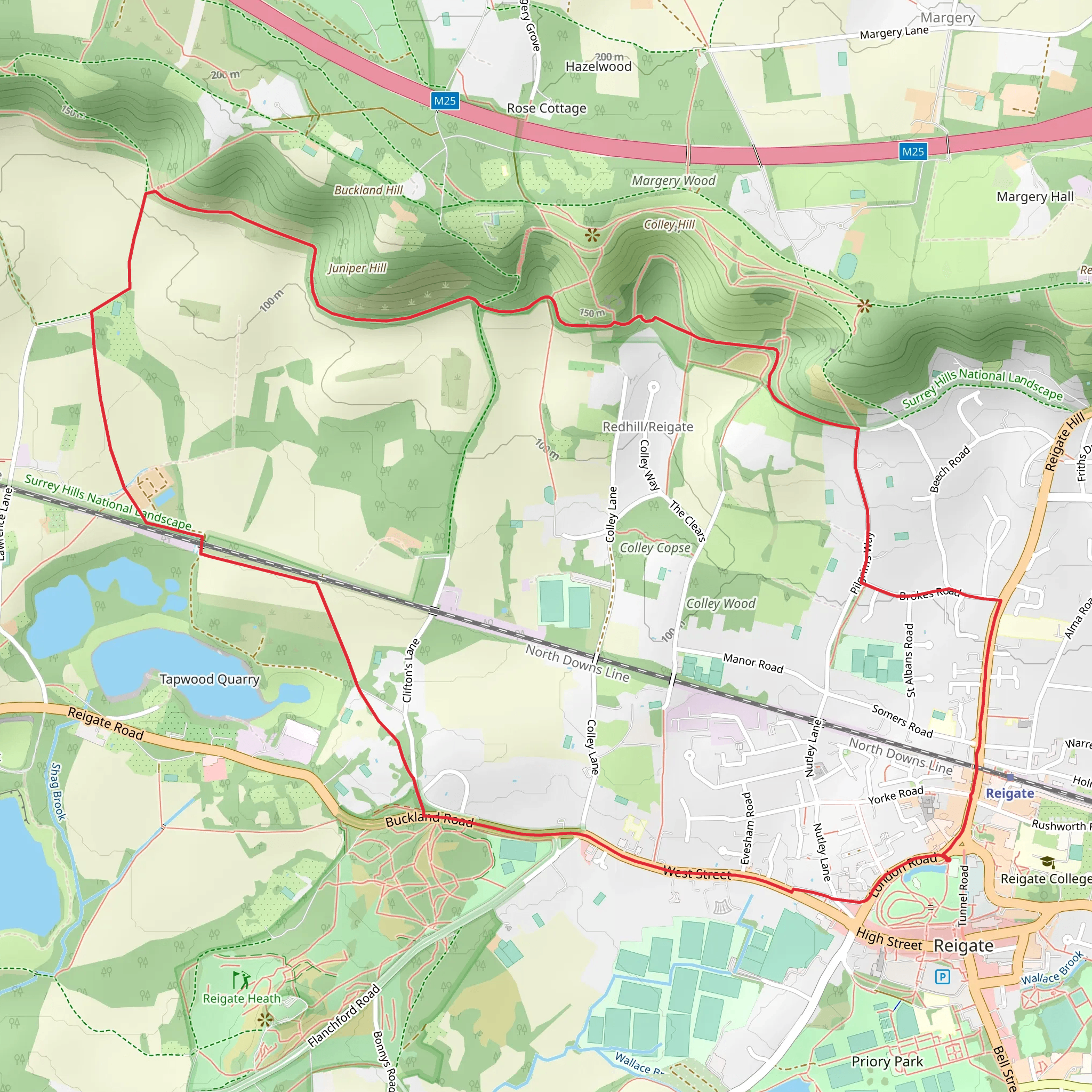 Reigate Circular Walk mobile static map