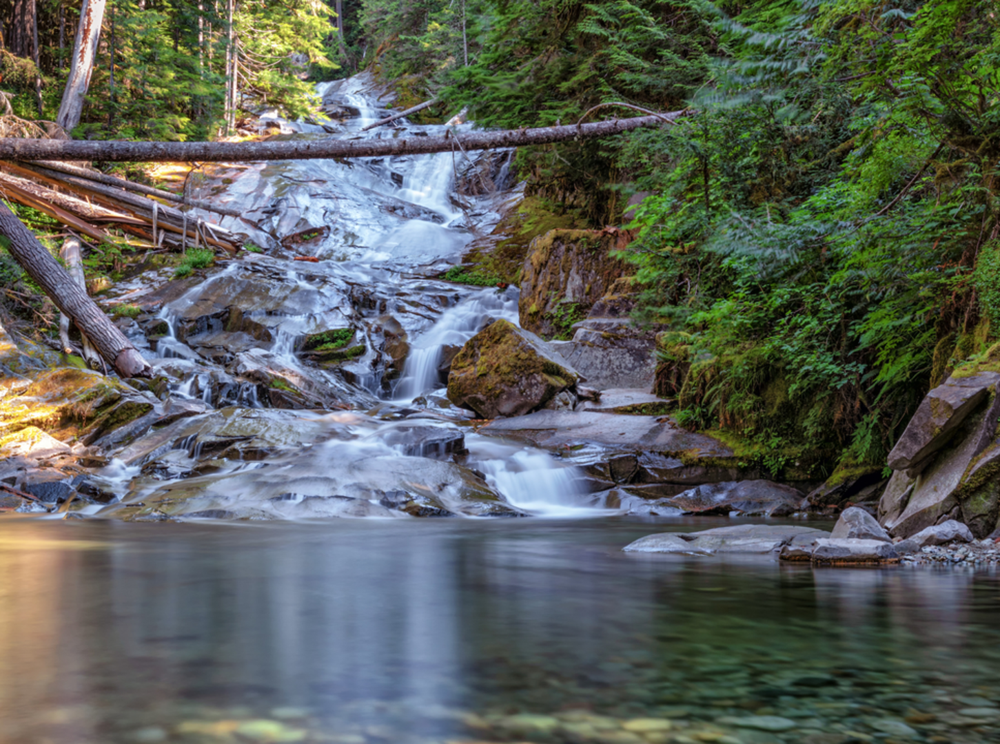 An image depicting the trail Carbon Glacier Trail and its surrounding area.