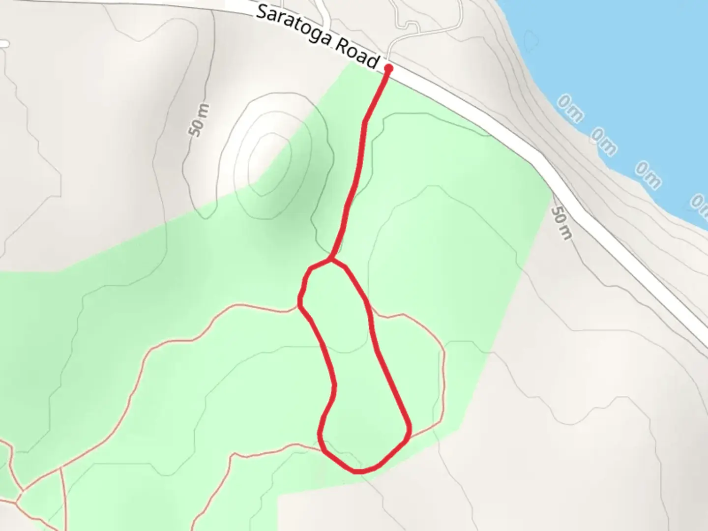 An image depicting the trail Salal Loop and its surrounding area.