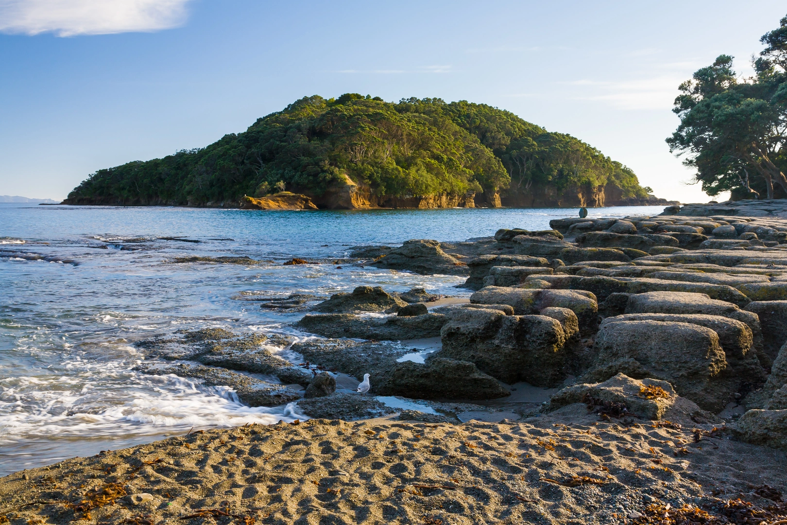 An image depicting the trail Goat Island Lookout Walk and its surrounding area.