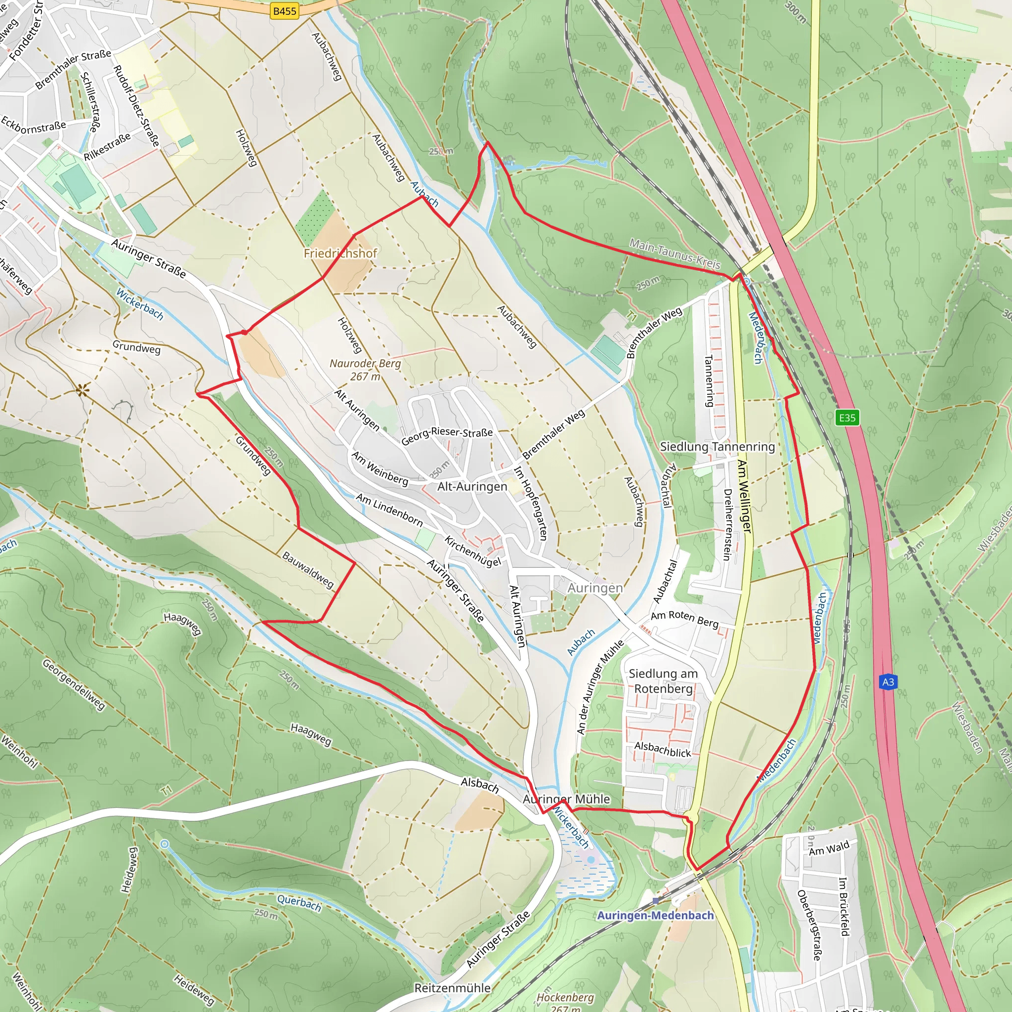 Auringer Rundwanderweg mobile static map