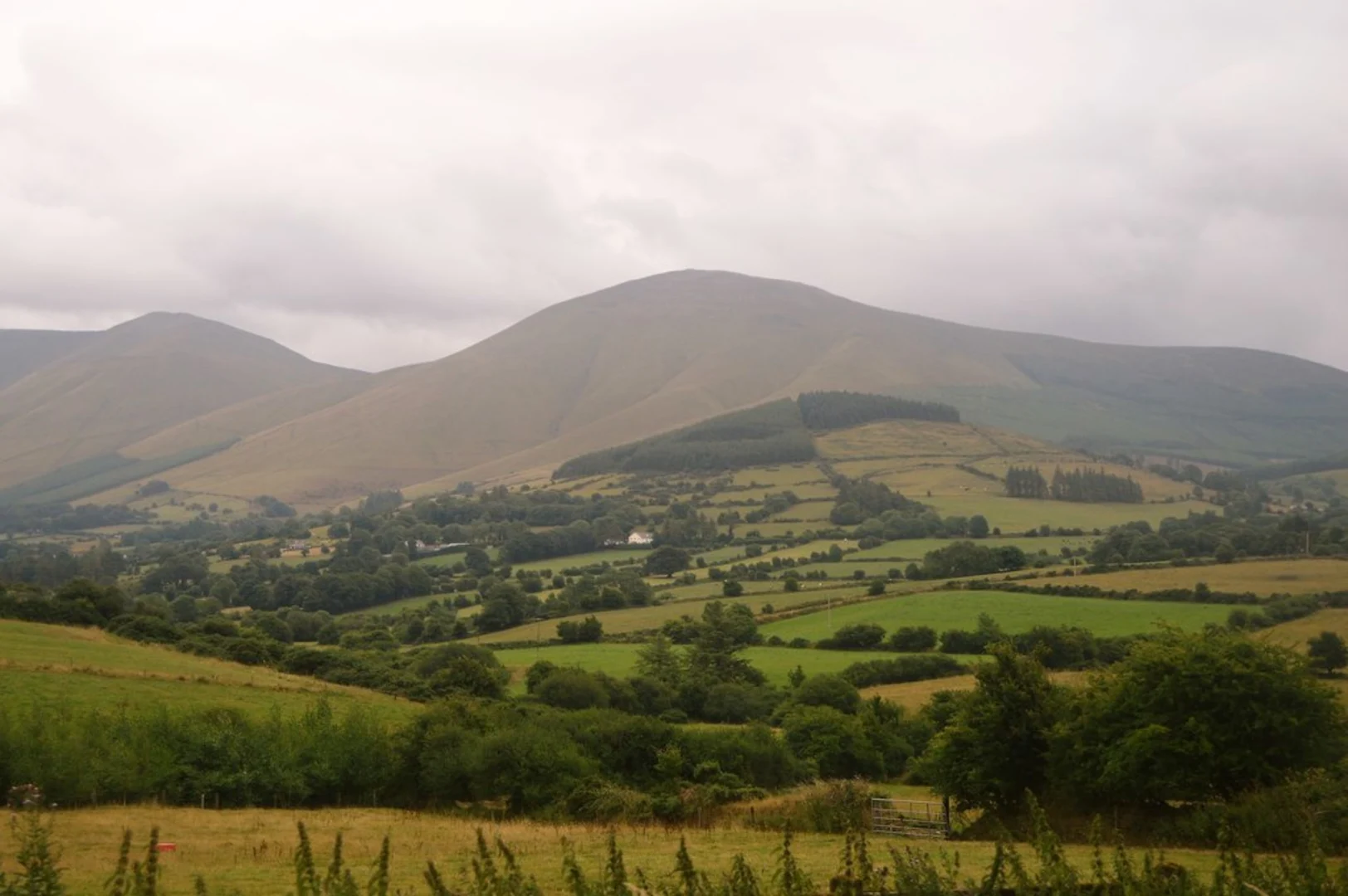 An image depicting the trail Galtee Loop and its surrounding area.