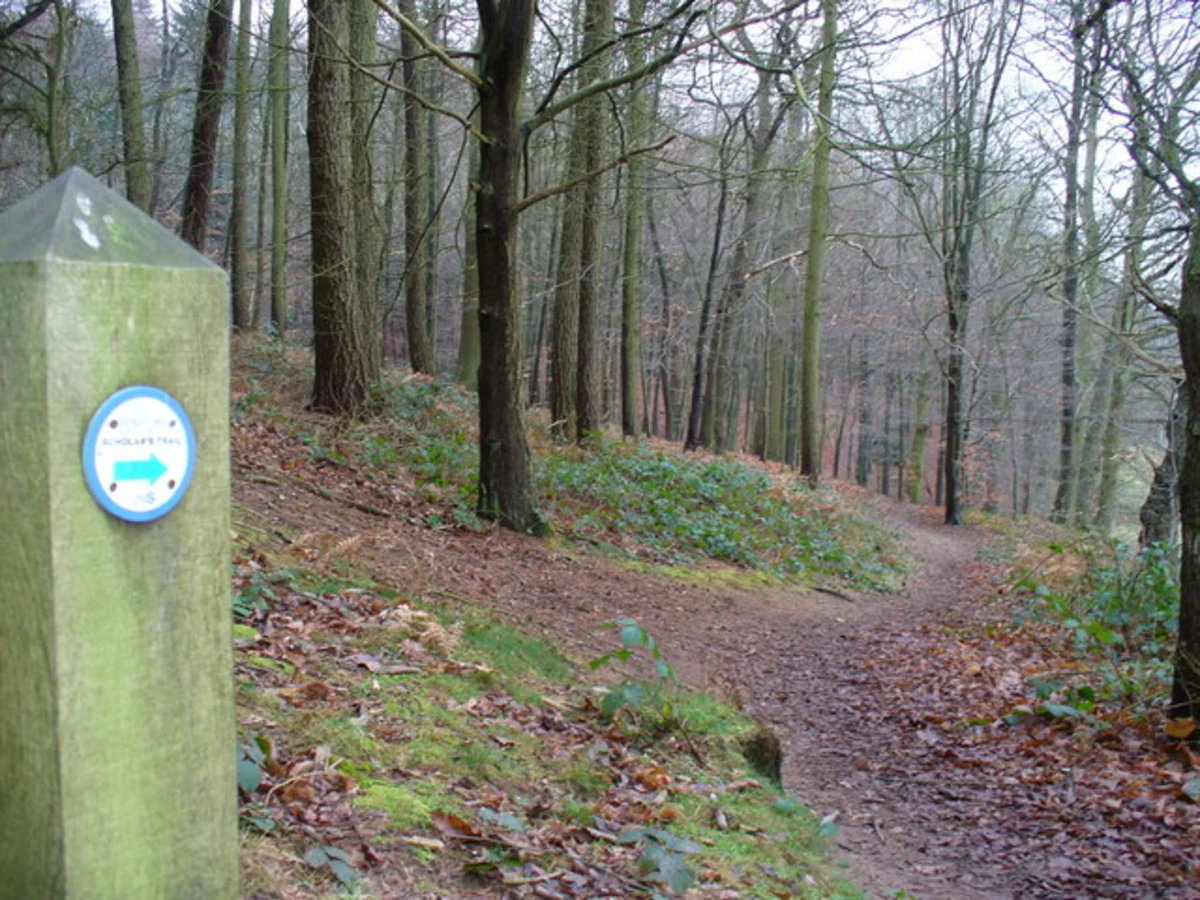 Shalford Circular Walk