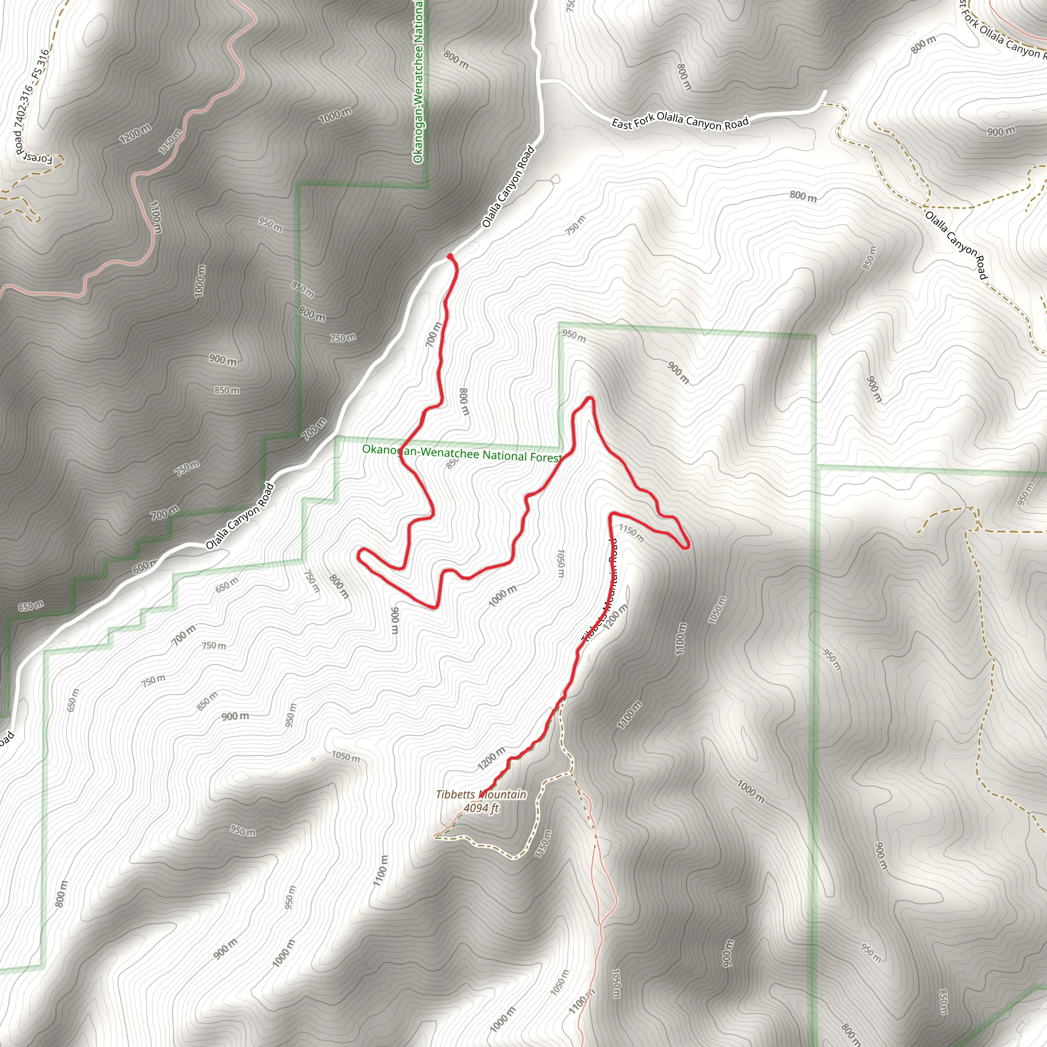 Tibbets Mountain Out and Back mobile static map