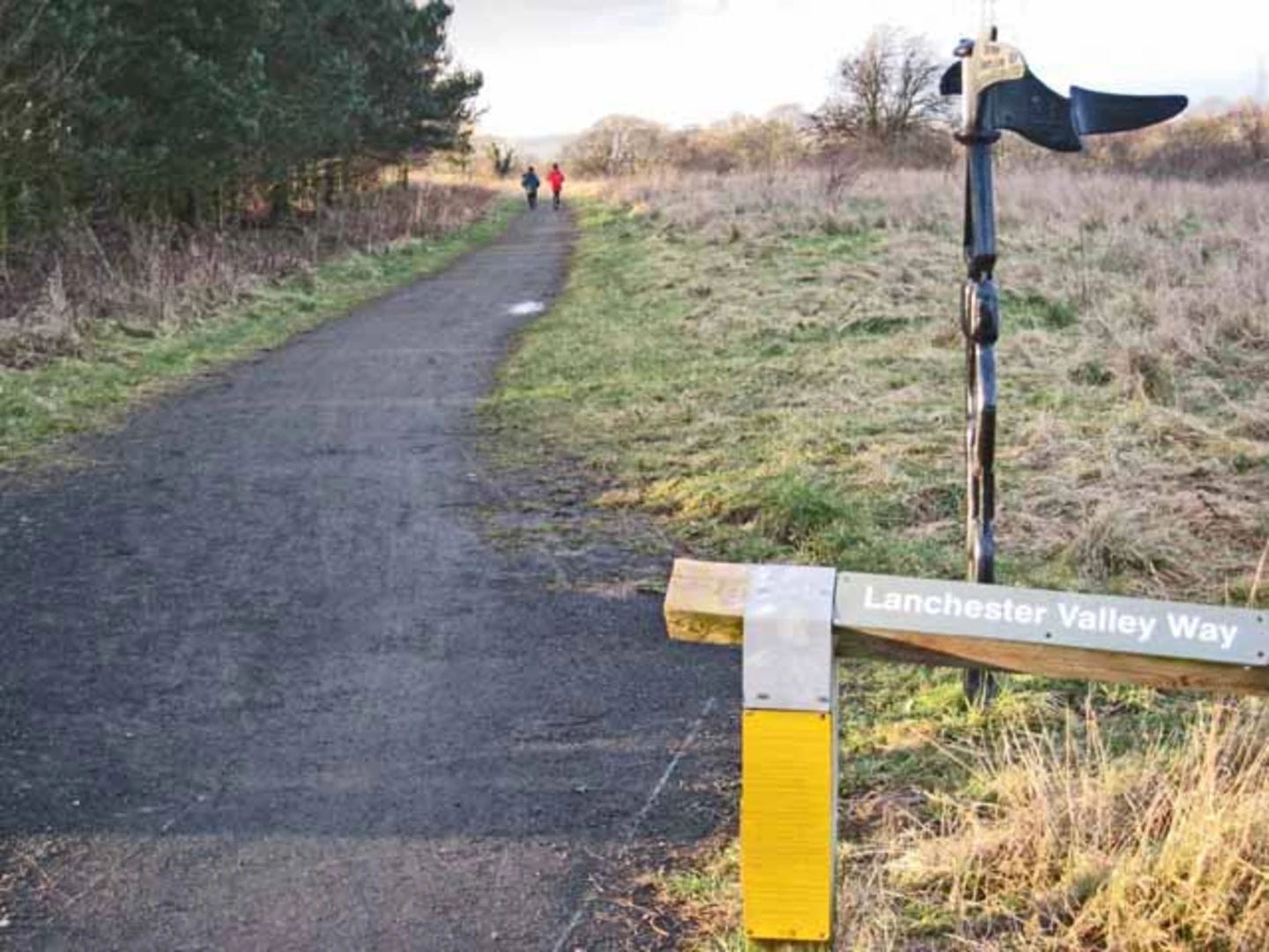 An image depicting the trail Templetown to Broompark Walk and its surrounding area.