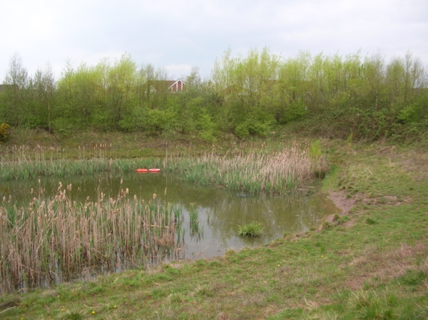 An image depicting the trail Trent Meadows, Tween Pond and Clifton Pond and its surrounding area.