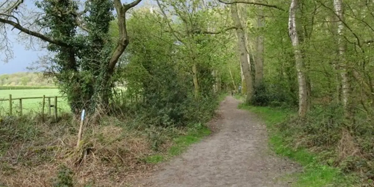 Highgate Common and Surrounding Country