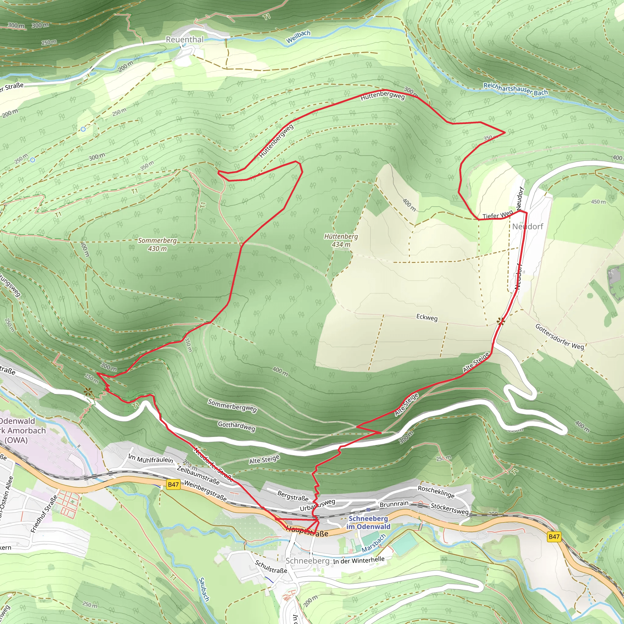 Rundwandrweg Amorbach and Schneeberg mobile static map