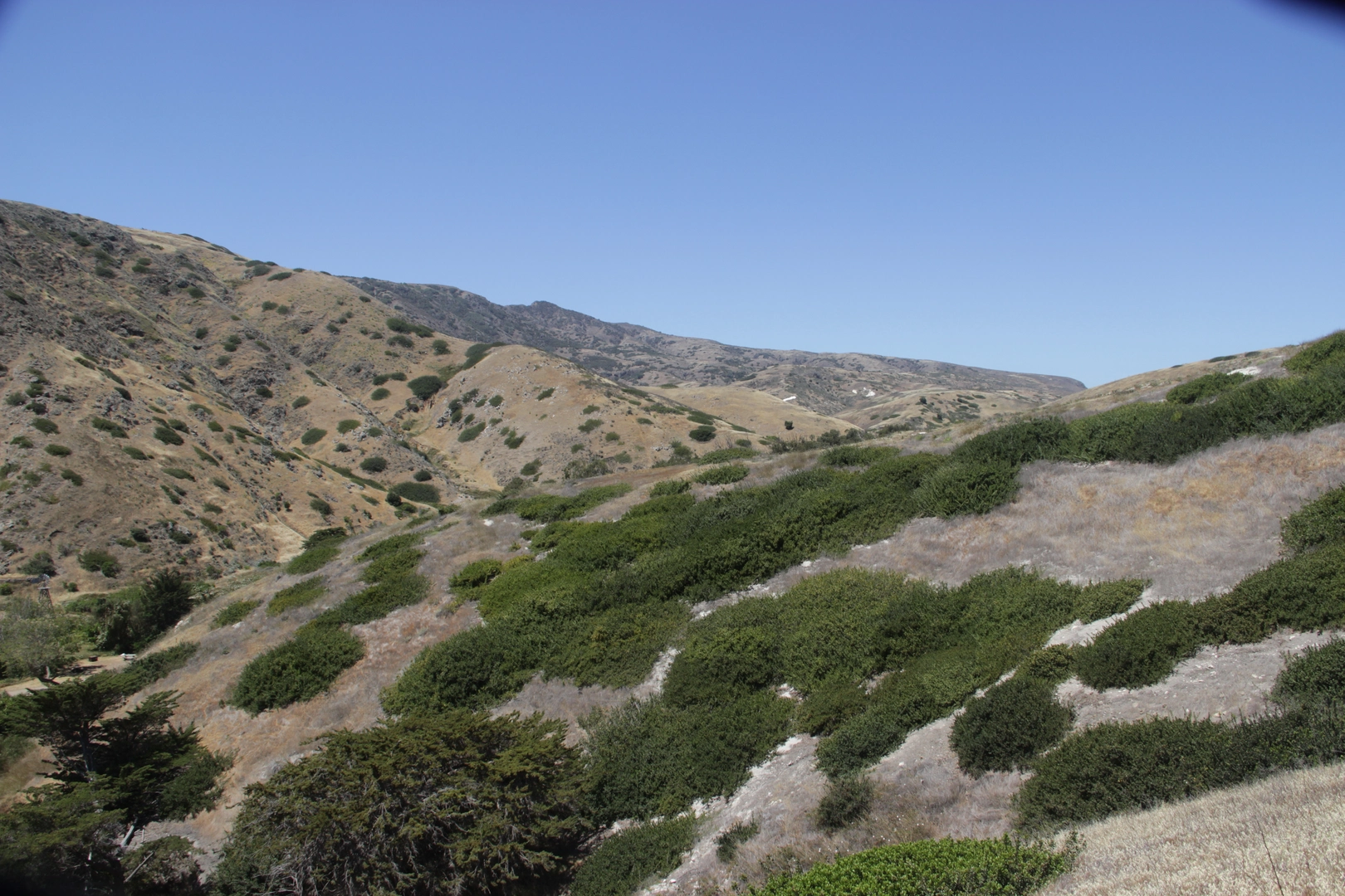 An image depicting the trail Mount Pleasant via Mavy Road and its surrounding area.