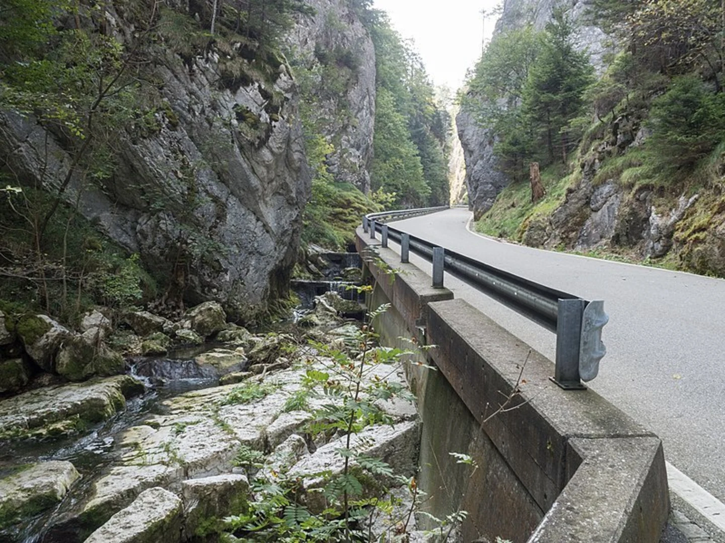 An image depicting the trail Chemin de Bellelay and its surrounding area.
