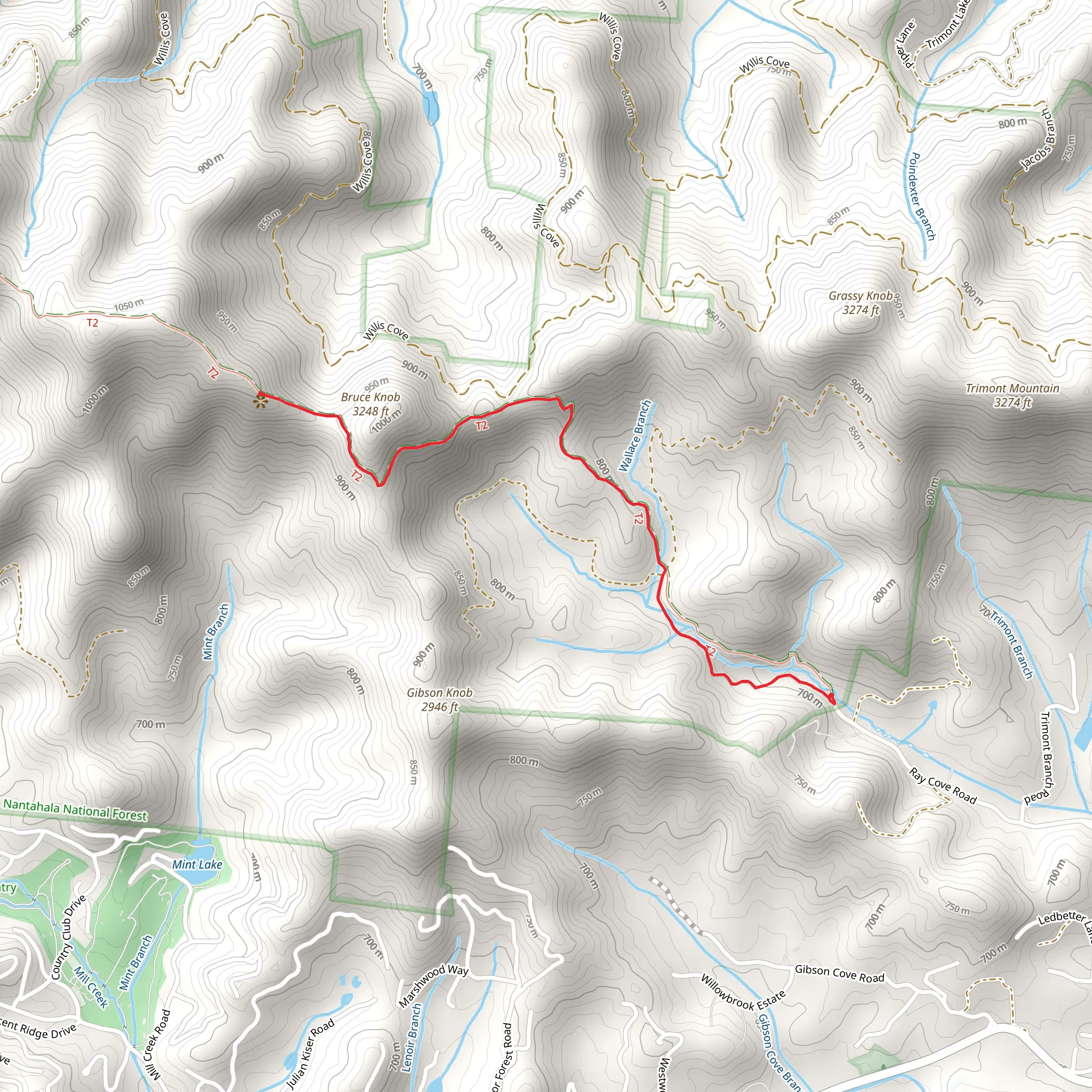 Bruce Knob via Bartram Trail mobile static map