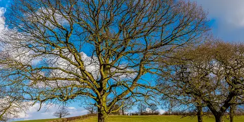 An image depicting the trail Sutton Cheney - Bosworth Field - Ashby-de-la-Zouch Canal and Market Bosworth and its surrounding area.