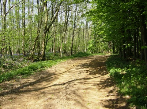 An image depicting the trail Cherrington and Long Compton Circular Walk and its surrounding area.