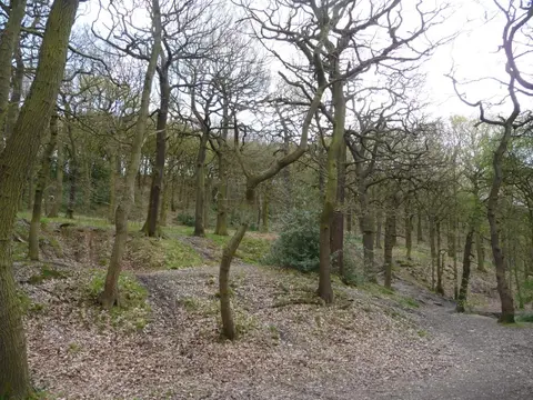Coxley Beck and Woods Loop