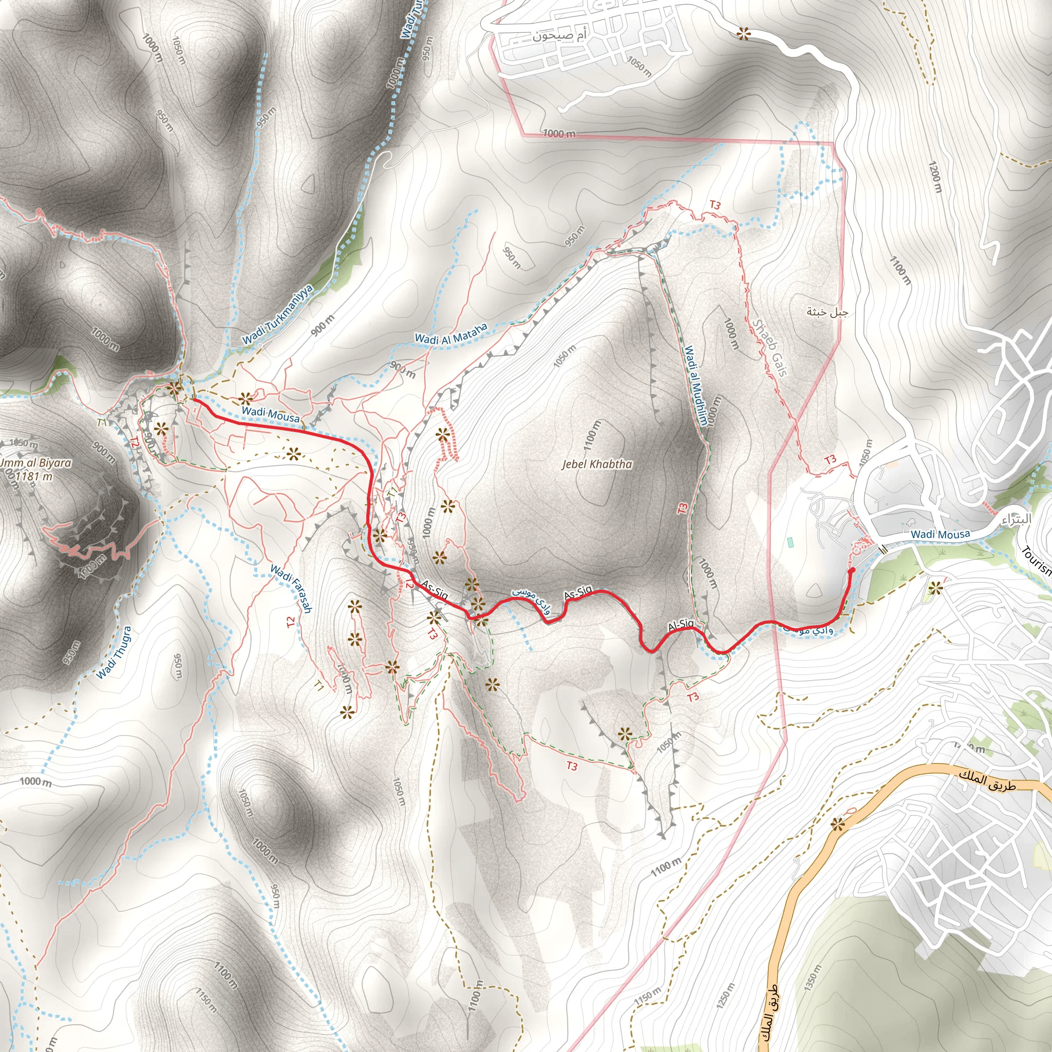 Petra to Royal Market Walk mobile static map