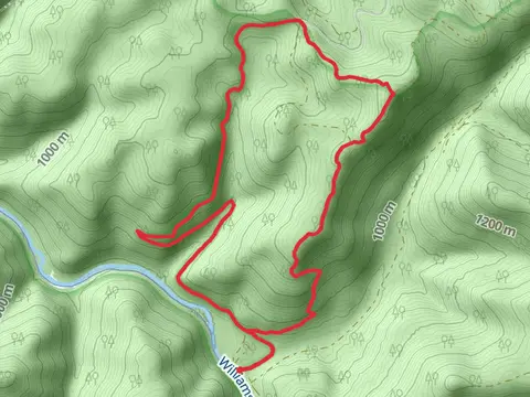 Tea Creek Campground Loop