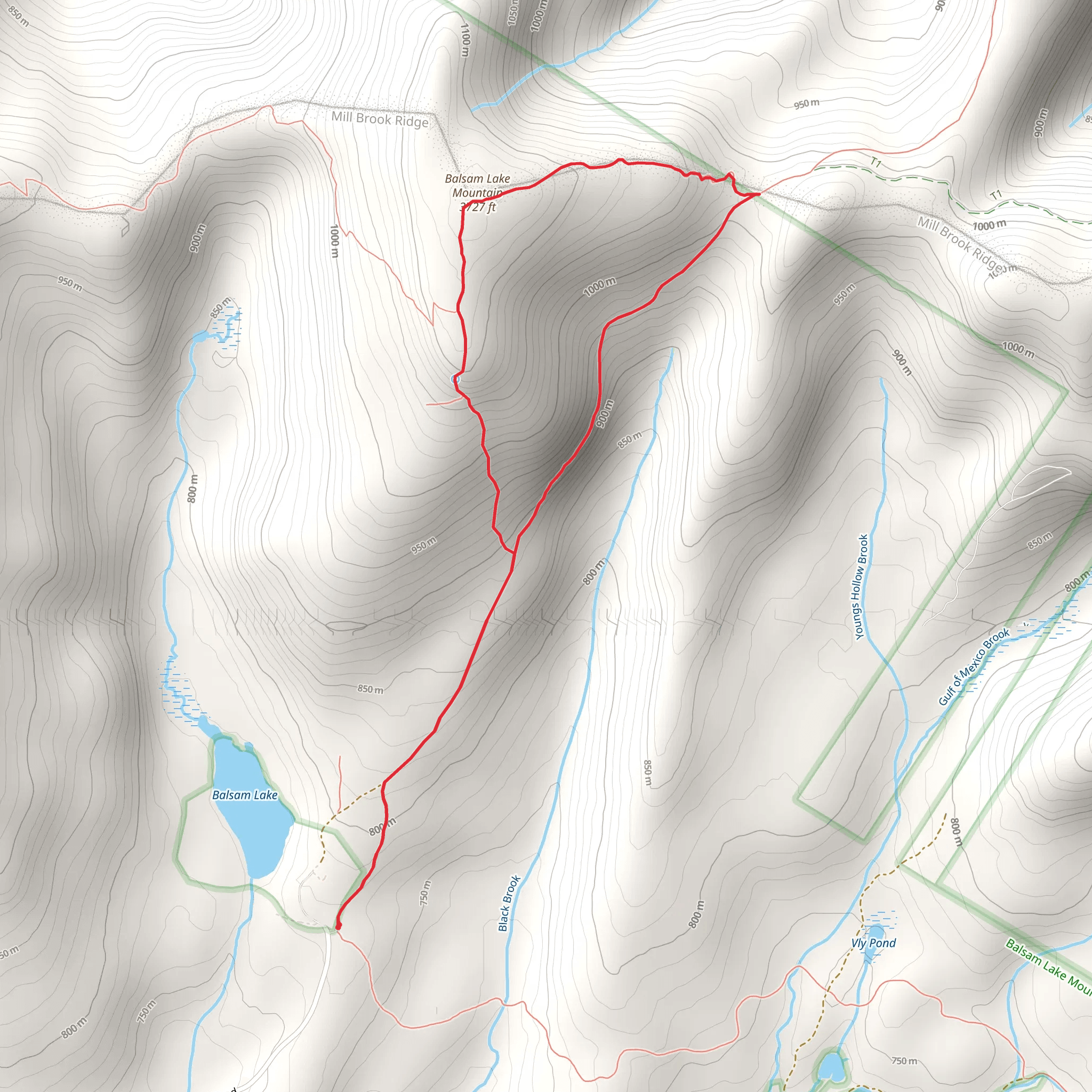 Balsam Lake Mountain Trail mobile static map