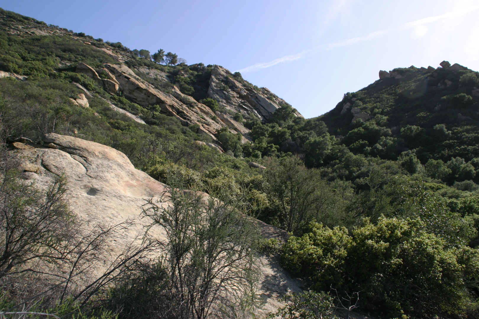 An image depicting the trail Backbone Trail from Corral Canyon Road and its surrounding area.