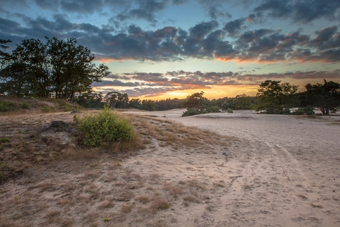 Wieksloterweg Westzijde, Monnikenboschpad, Roosterbosch and Korte Duinen Loop