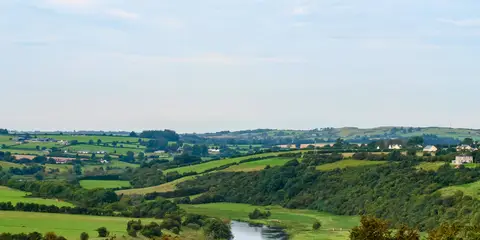 An image depicting the trail Mullaghareirk - Banane Loop and its surrounding area.