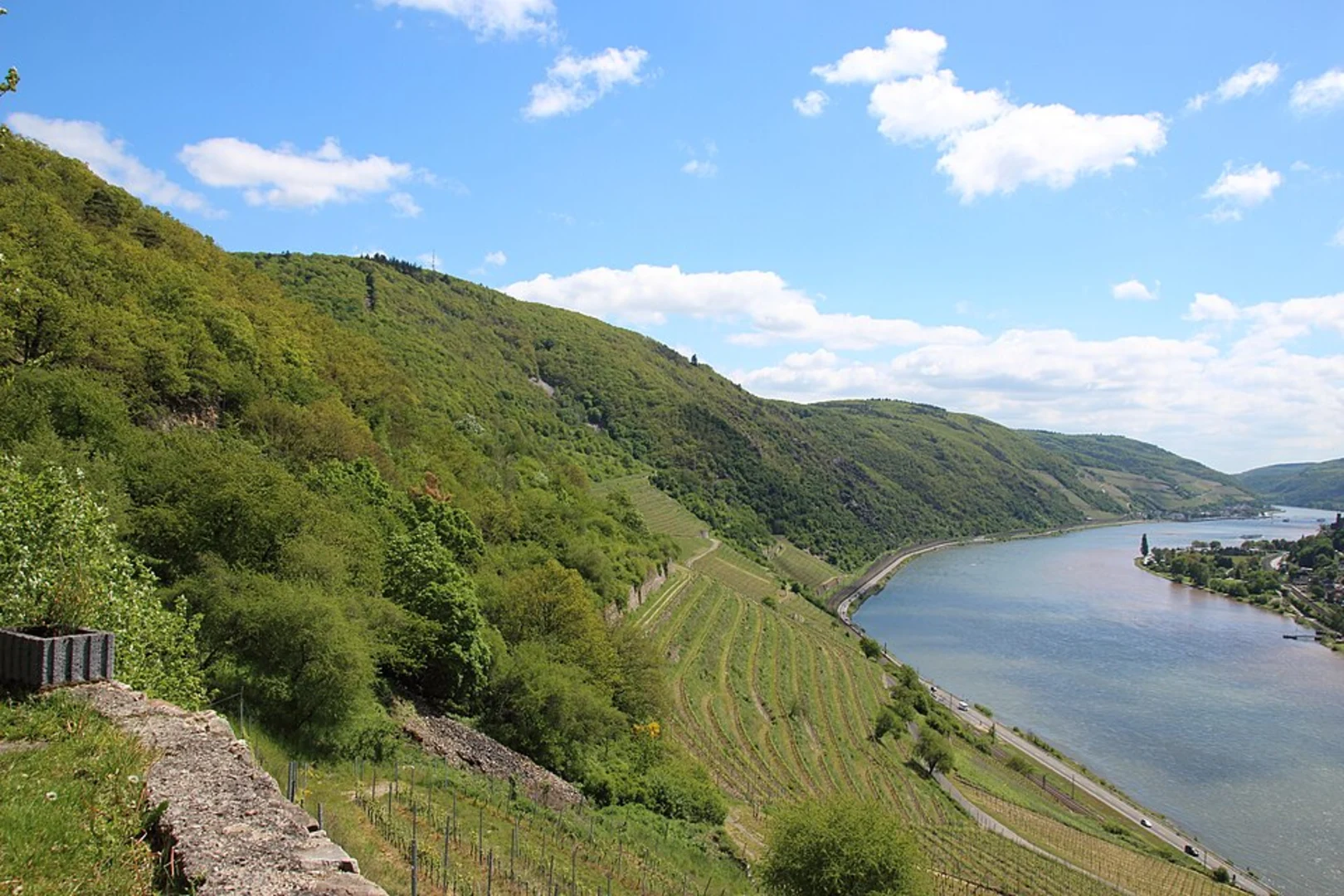 An image depicting the trail Mandelberg via Rundwanderweg Lorch and its surrounding area.