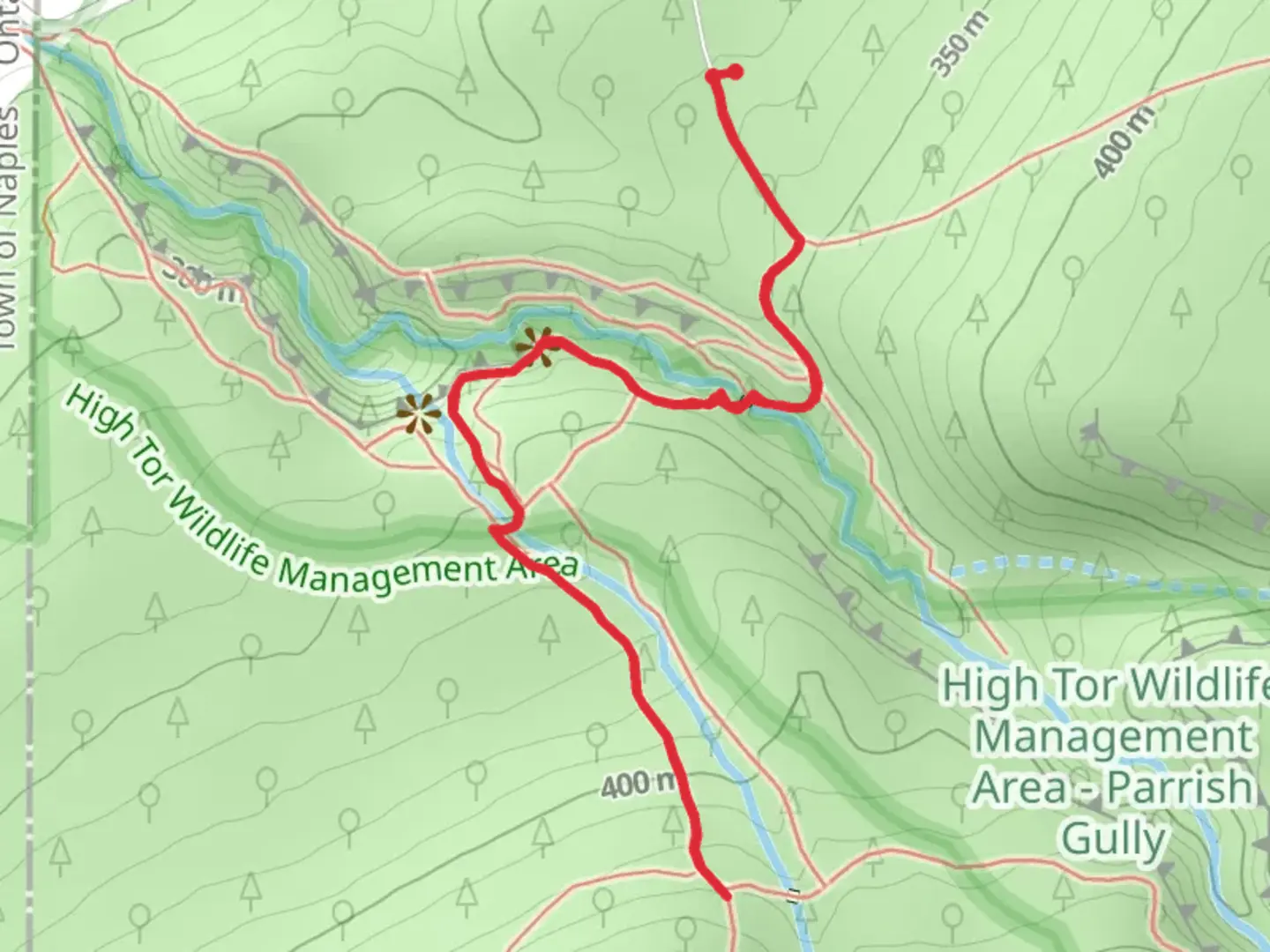 An image depicting the trail Conklin Gully and its surrounding area.