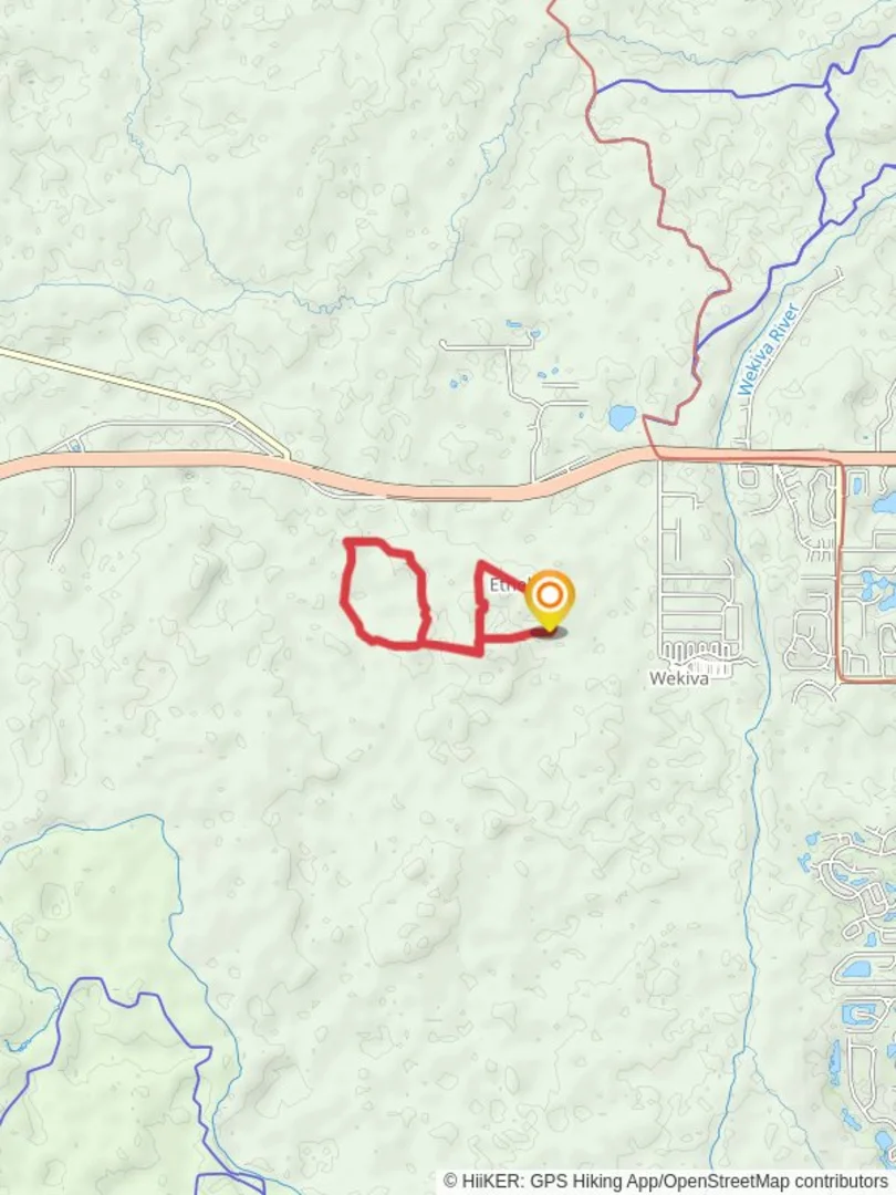 An image depicting the trail Ethel Loop and its surrounding area.