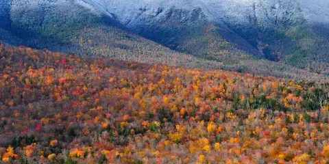 An image depicting the trail Desolation Loop and its surrounding area.