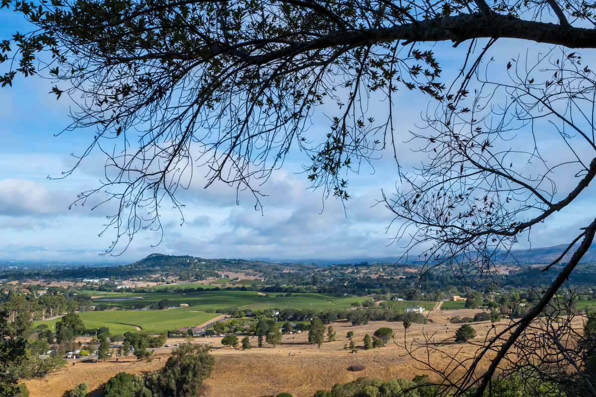 Skyline, Lake Marie and Lake Marie Road Loop