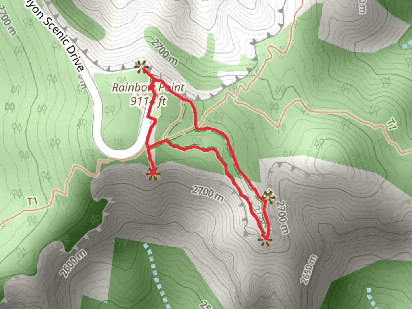 An image depicting the trail Yovimpa Point via Bristlecone Point Loop Trail and its surrounding area.