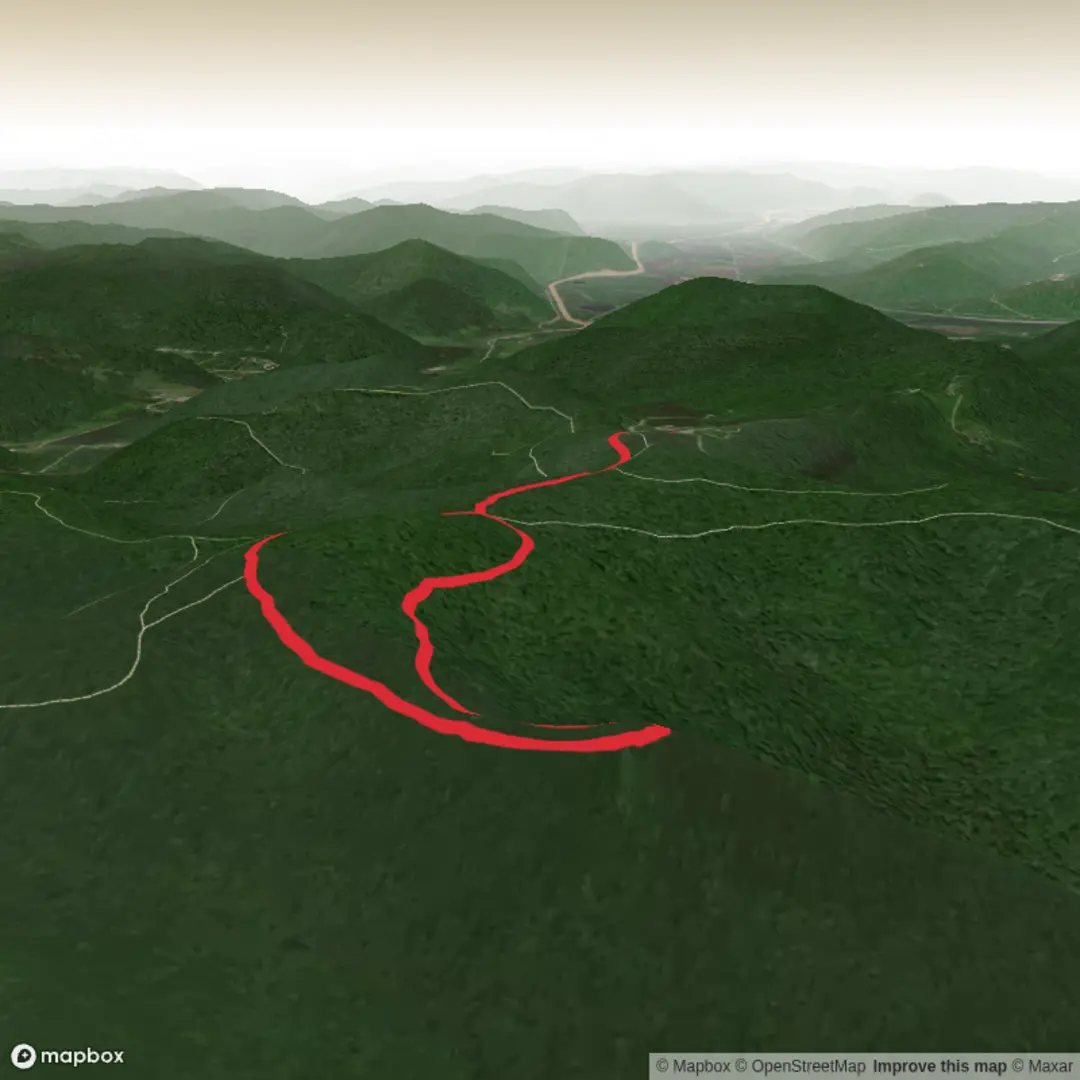 An image depicting the trail Lookout Tower near Bova Creek and its surrounding area.