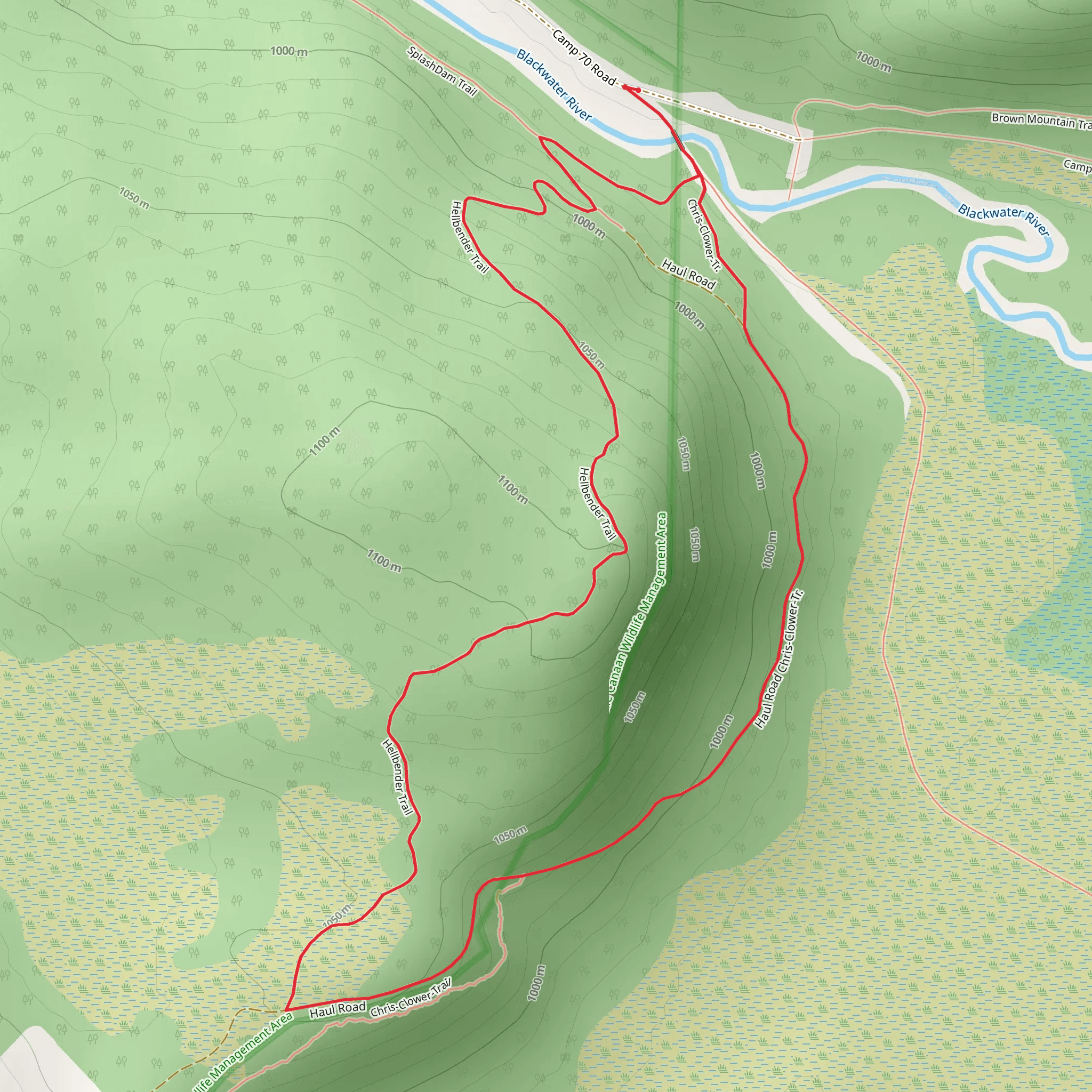 Hellbender Trail and Haul Rd aka Hellbender Road Loop mobile static map