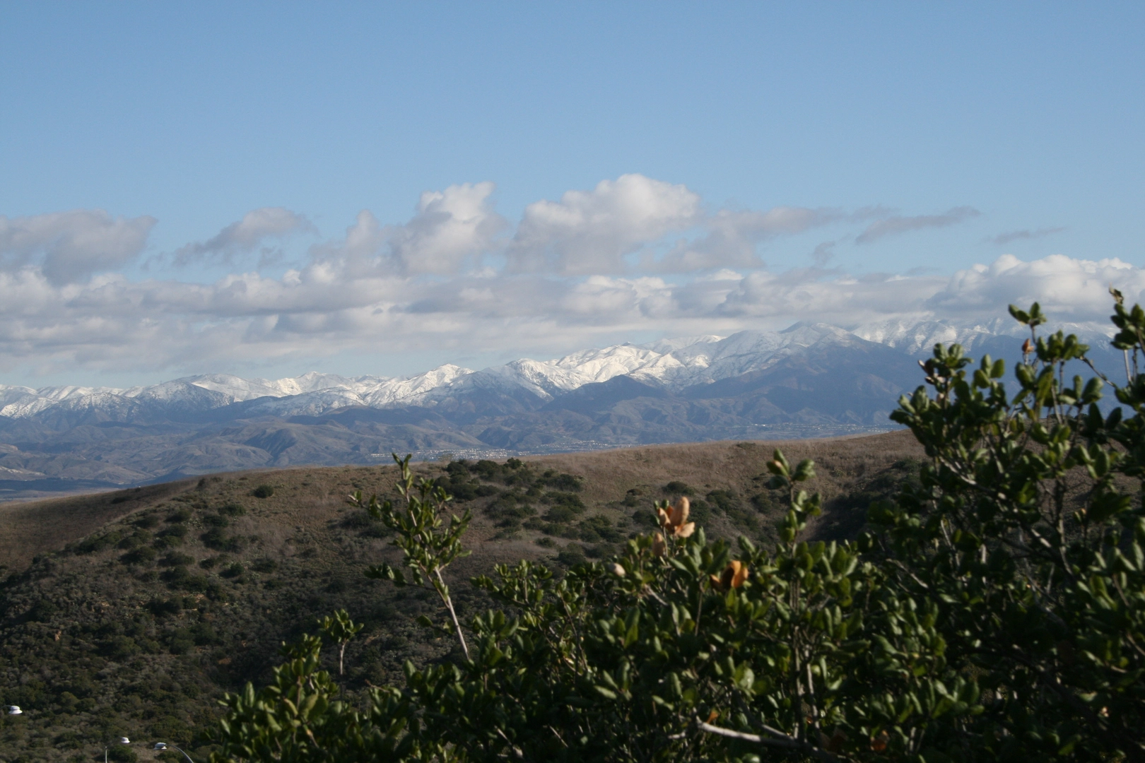 An image depicting the trail Bommer Ridge and Laguna Ridge Loop Trail and its surrounding area.