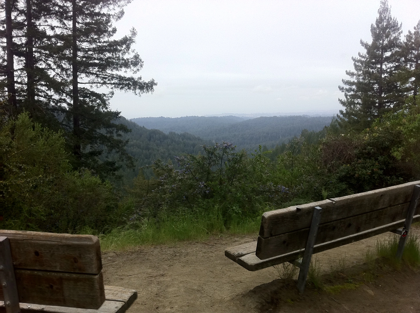 An image depicting the trail Aptos Creek Fire Road and Sand Point and its surrounding area.