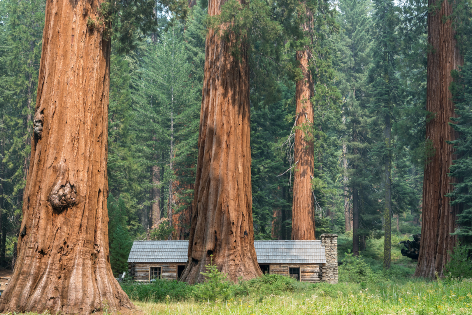 An image depicting the trail Chimney Loop Trail and its surrounding area.