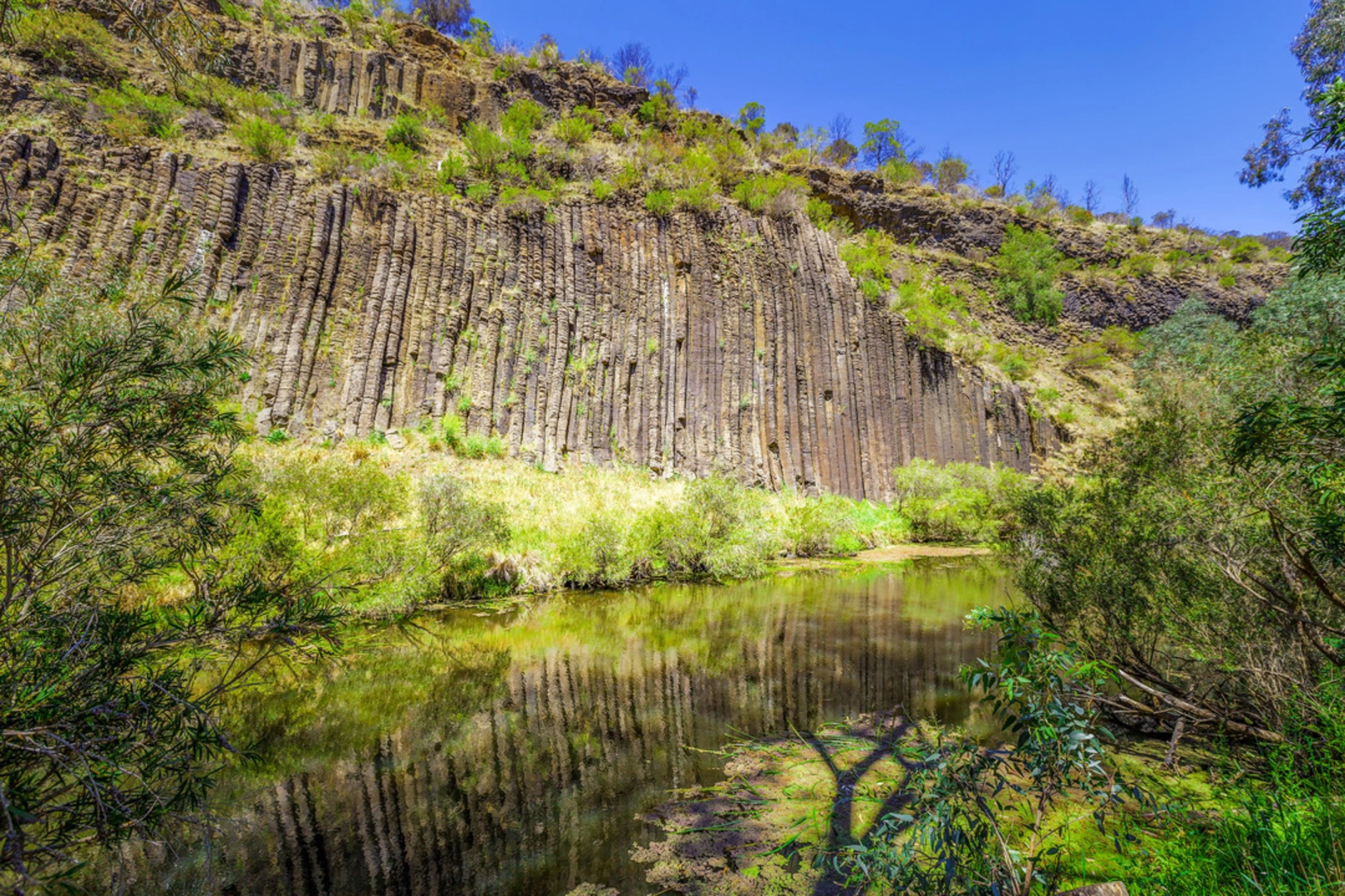 An image depicting the trail Organ Pipes National Park Walk and its surrounding area.
