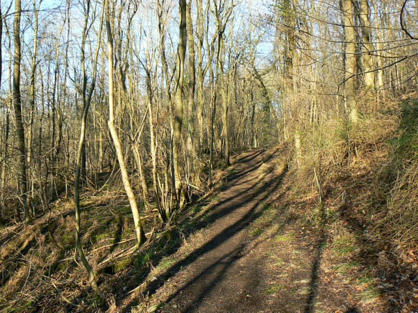 An image depicting the trail Winchcombe and Dumbleton Loop via Langley Hill and Breakheart Plantation and its surrounding area.