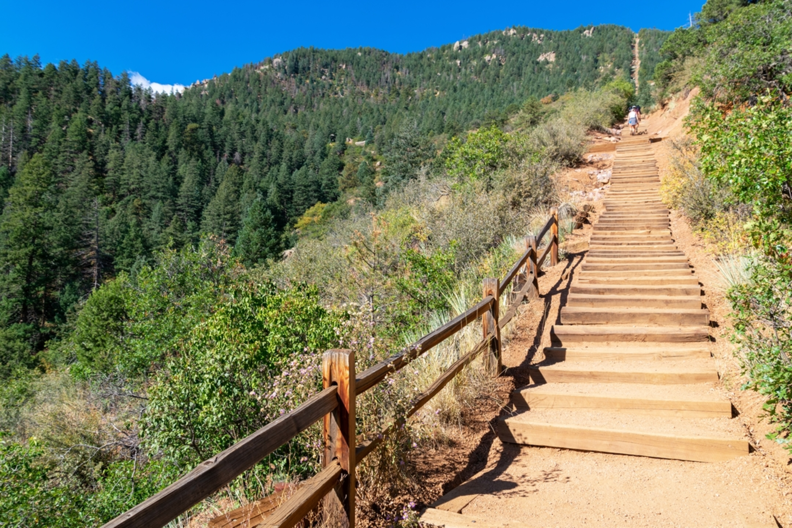 An image depicting the trail Fremont Experimental Forest Trail via The Incline Trailhead and its surrounding area.