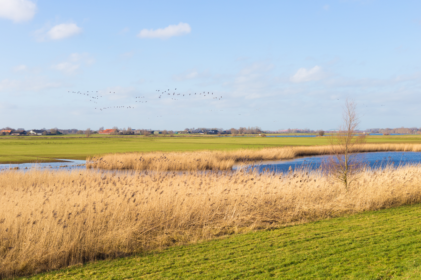 An image depicting the trail Wijhe to Wezep via Tichelpad and its surrounding area.