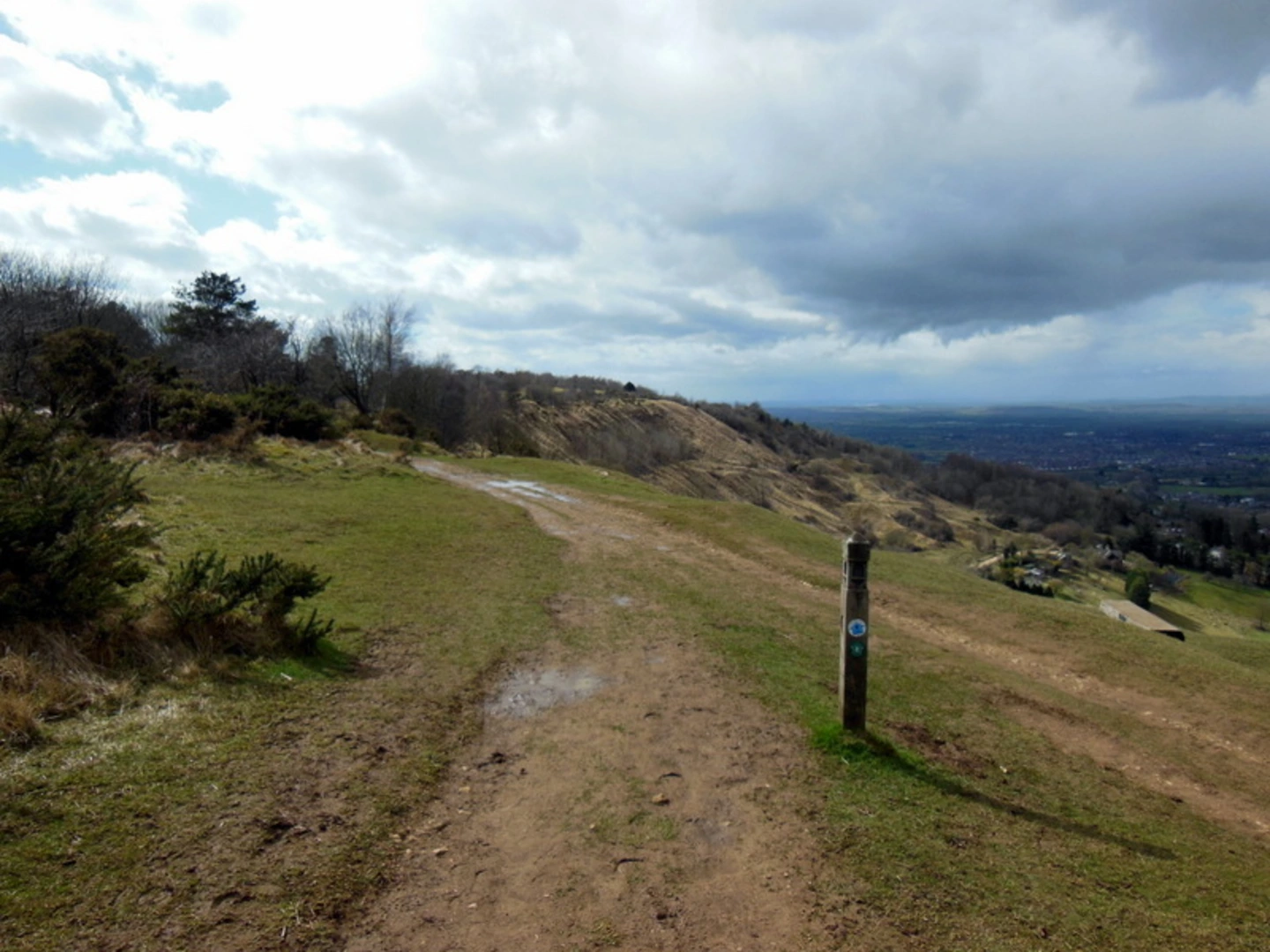 An image depicting the trail Charlton Kings Common & Hartley Hill and its surrounding area.