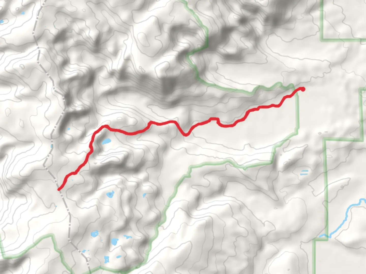 An image depicting the trail Newcomb Creek Trail and its surrounding area.